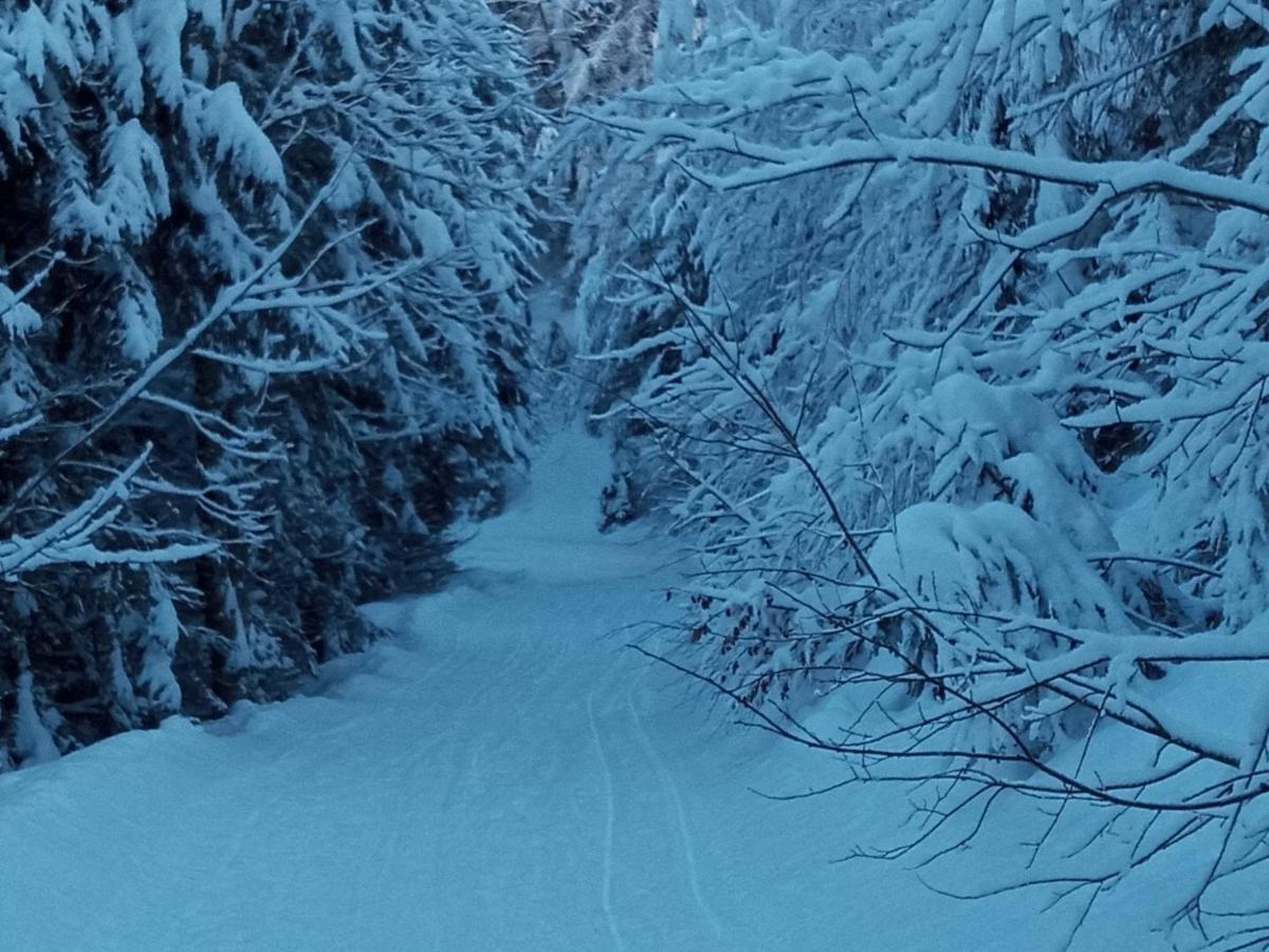 Landhaus Vogel Lägenhet Weissensee Exteriör bild