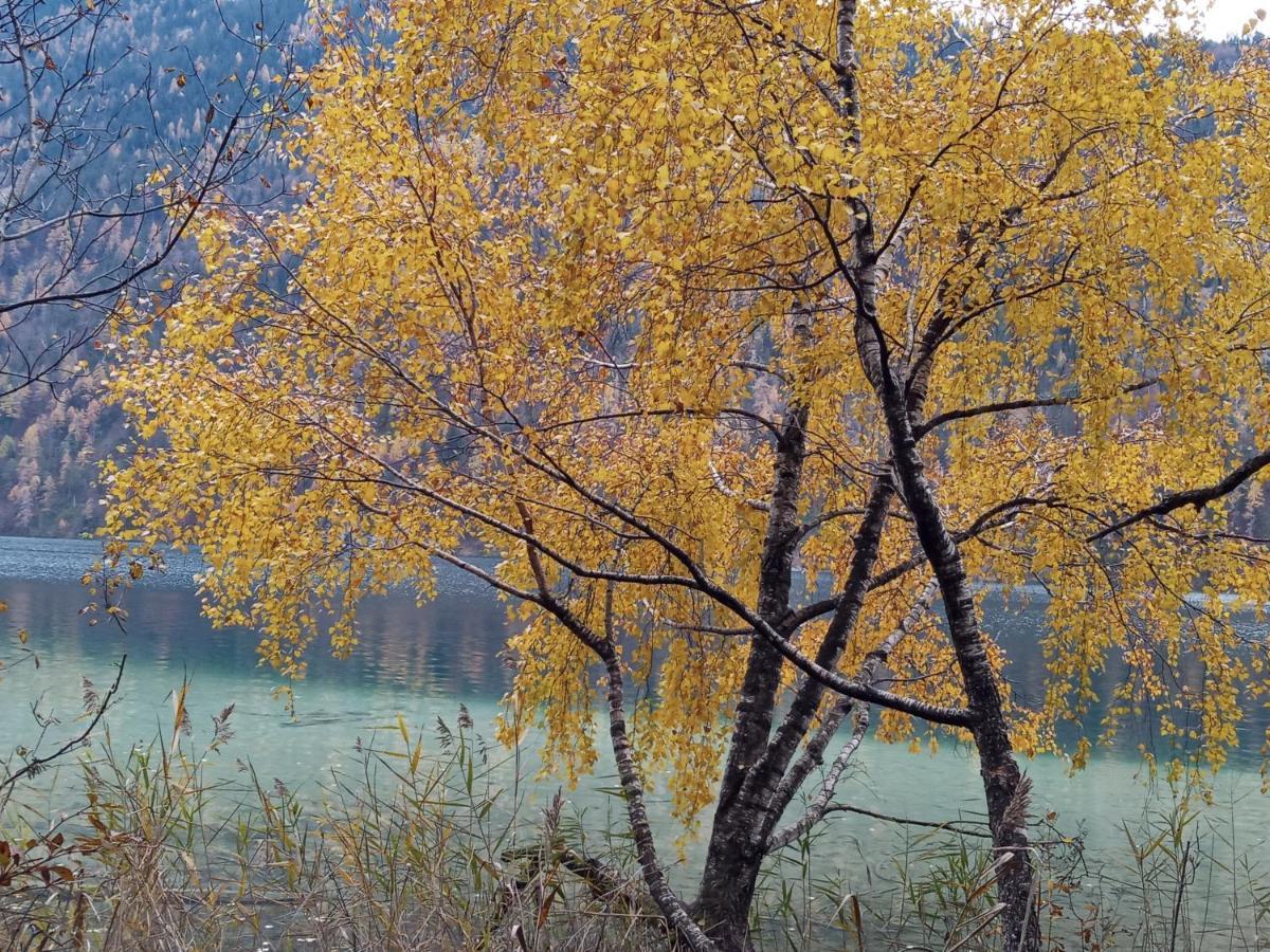 Landhaus Vogel Lägenhet Weissensee Exteriör bild