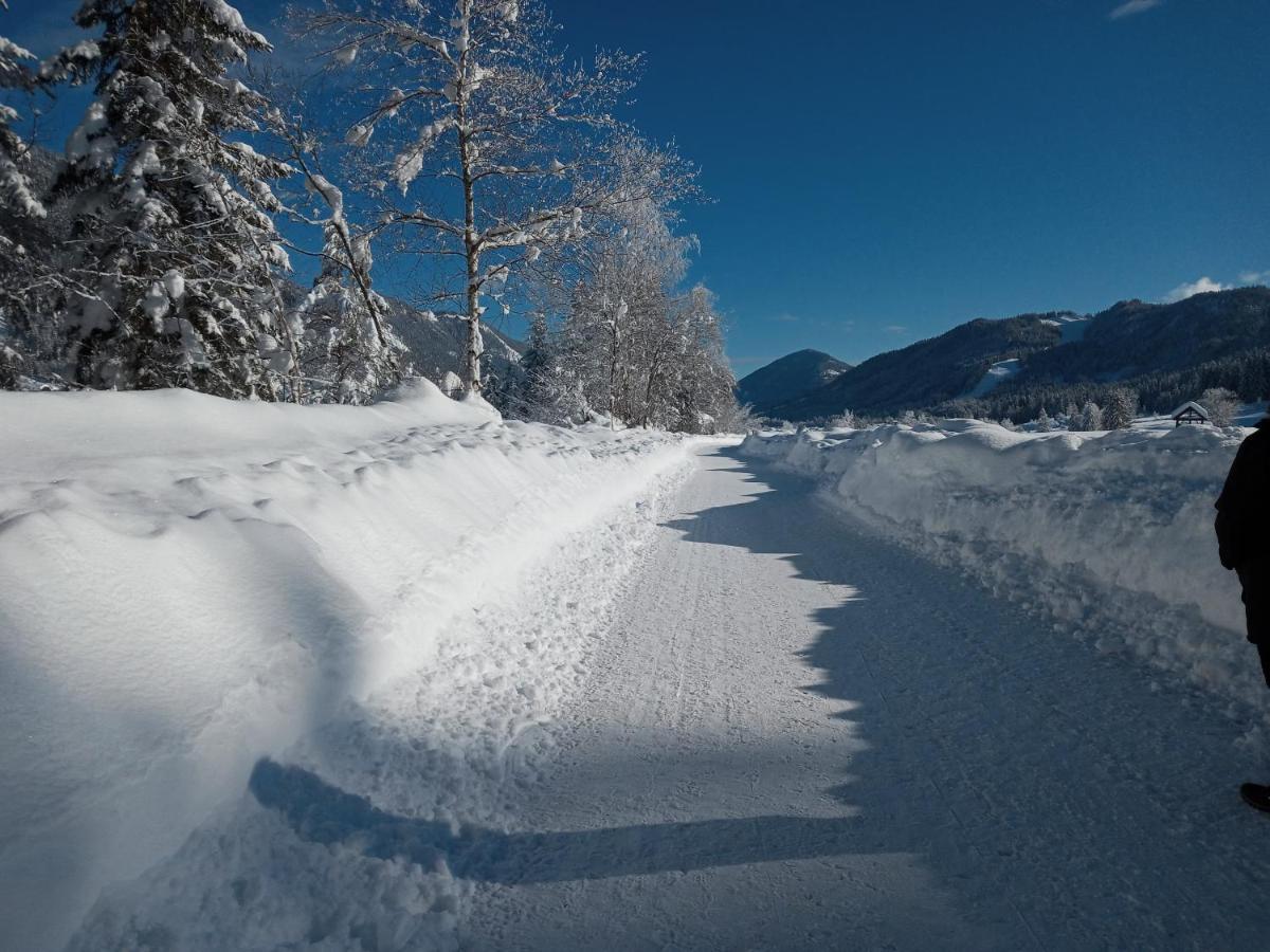 Landhaus Vogel Lägenhet Weissensee Exteriör bild