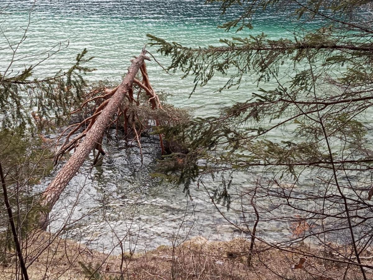 Landhaus Vogel Lägenhet Weissensee Exteriör bild