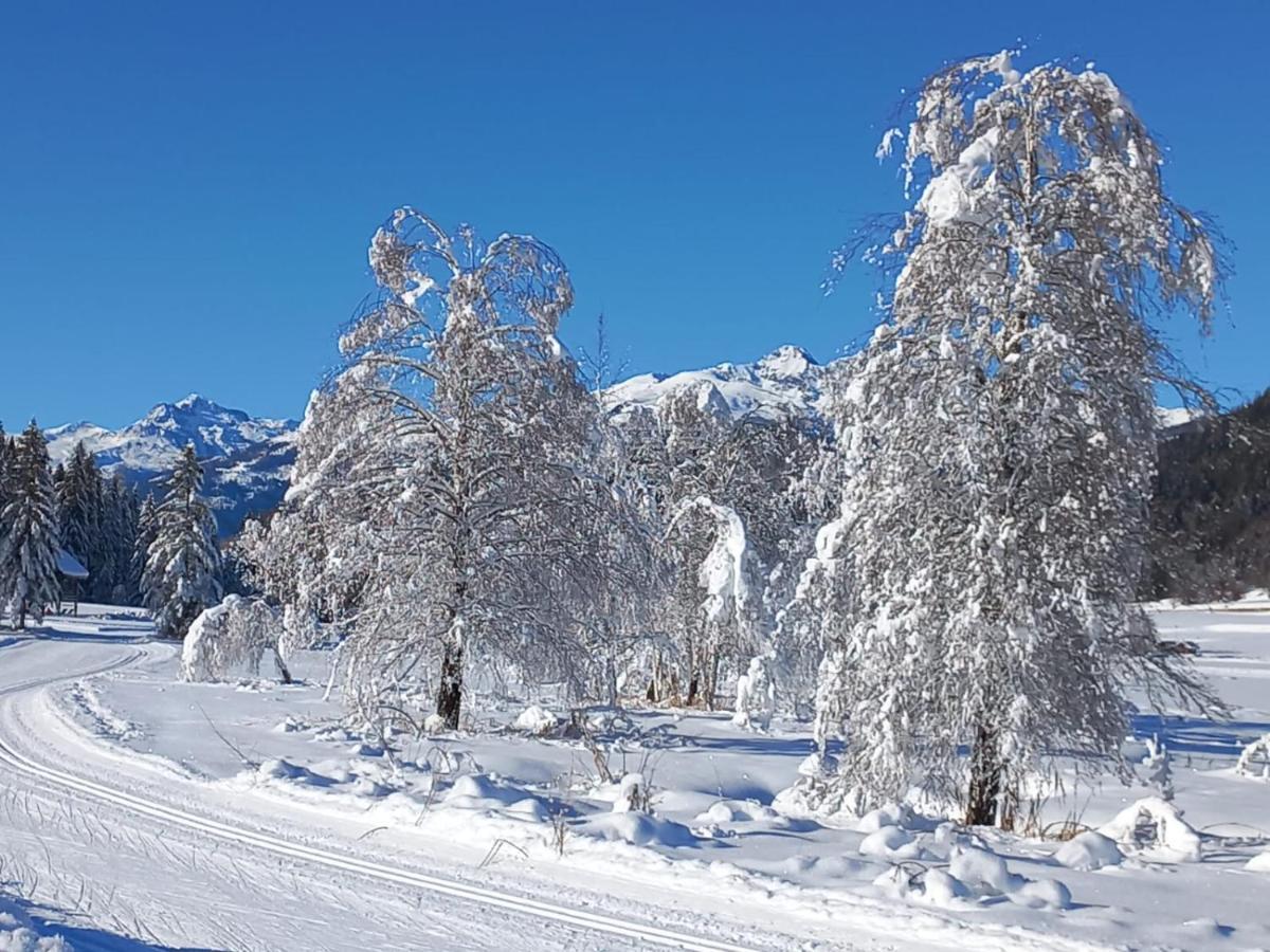 Landhaus Vogel Lägenhet Weissensee Exteriör bild