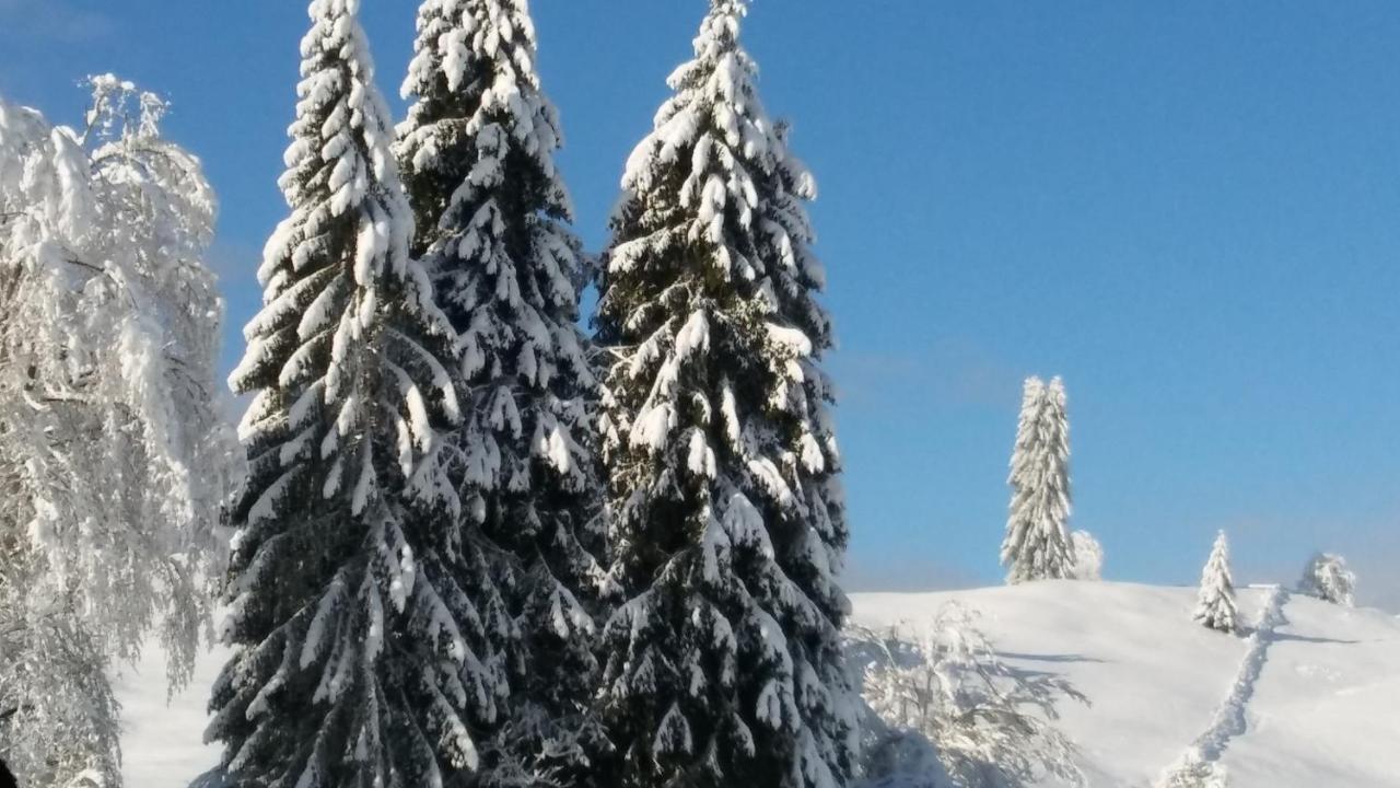 Landhaus Vogel Lägenhet Weissensee Exteriör bild