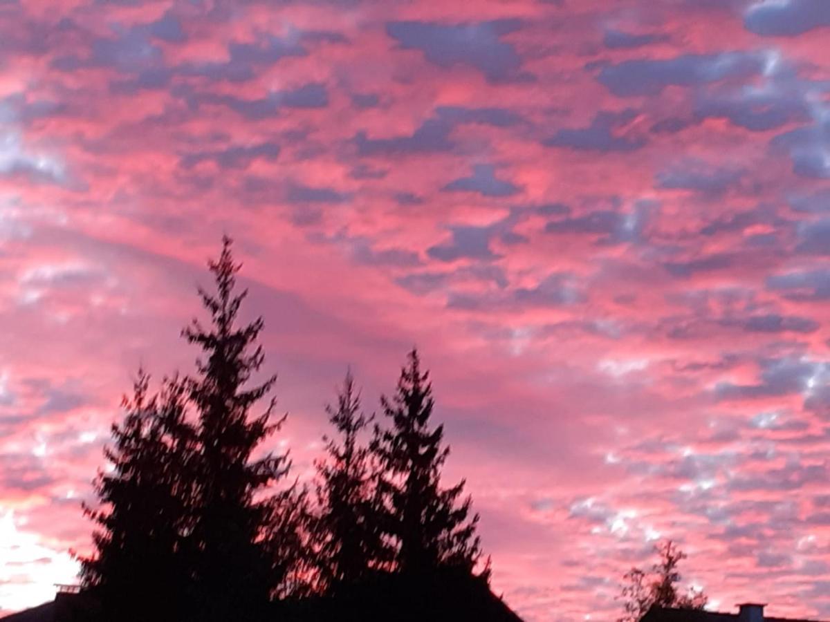 Landhaus Vogel Lägenhet Weissensee Exteriör bild