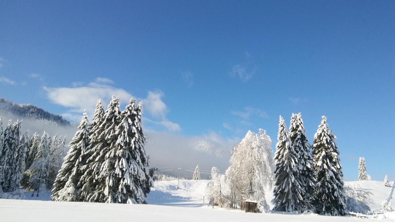 Landhaus Vogel Lägenhet Weissensee Exteriör bild