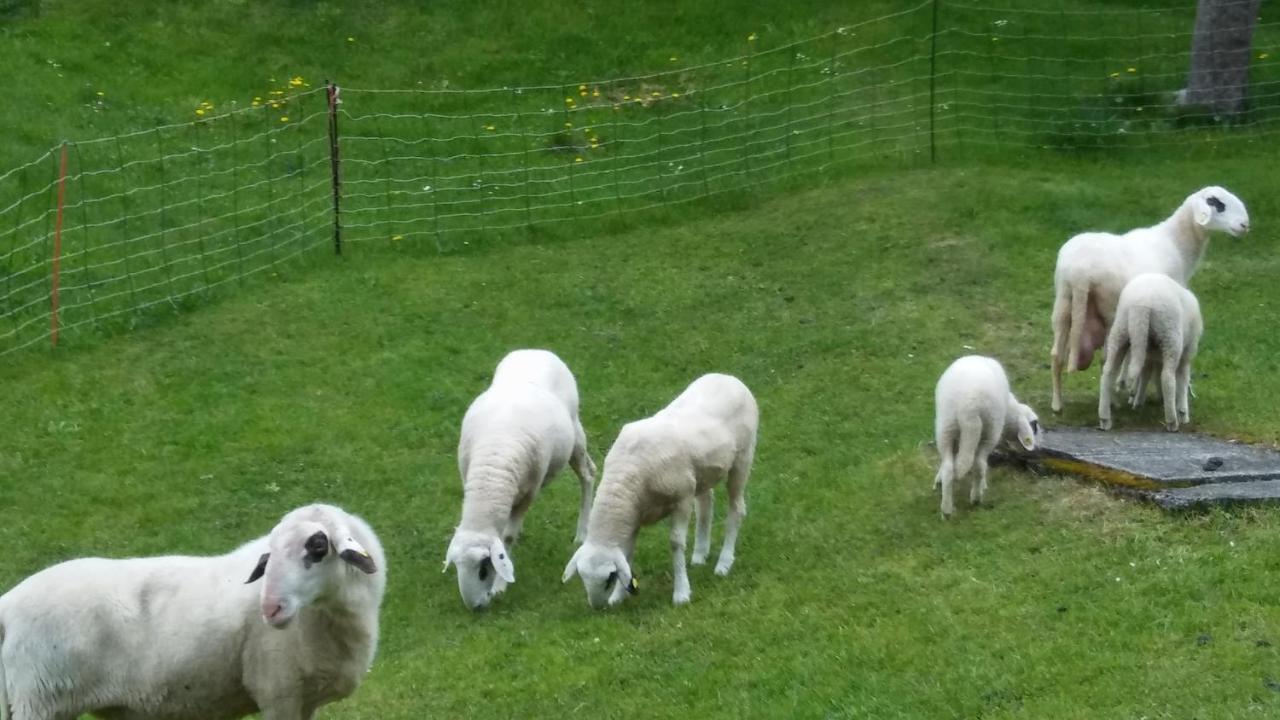 Landhaus Vogel Lägenhet Weissensee Exteriör bild